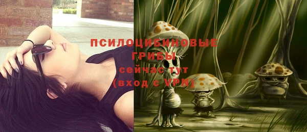 марки nbome Богданович