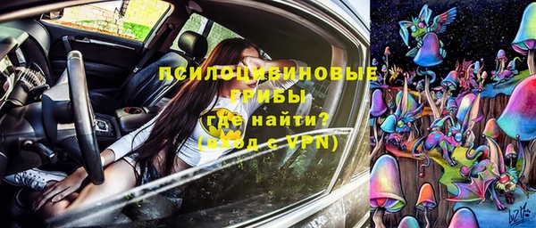 первитин Богородск